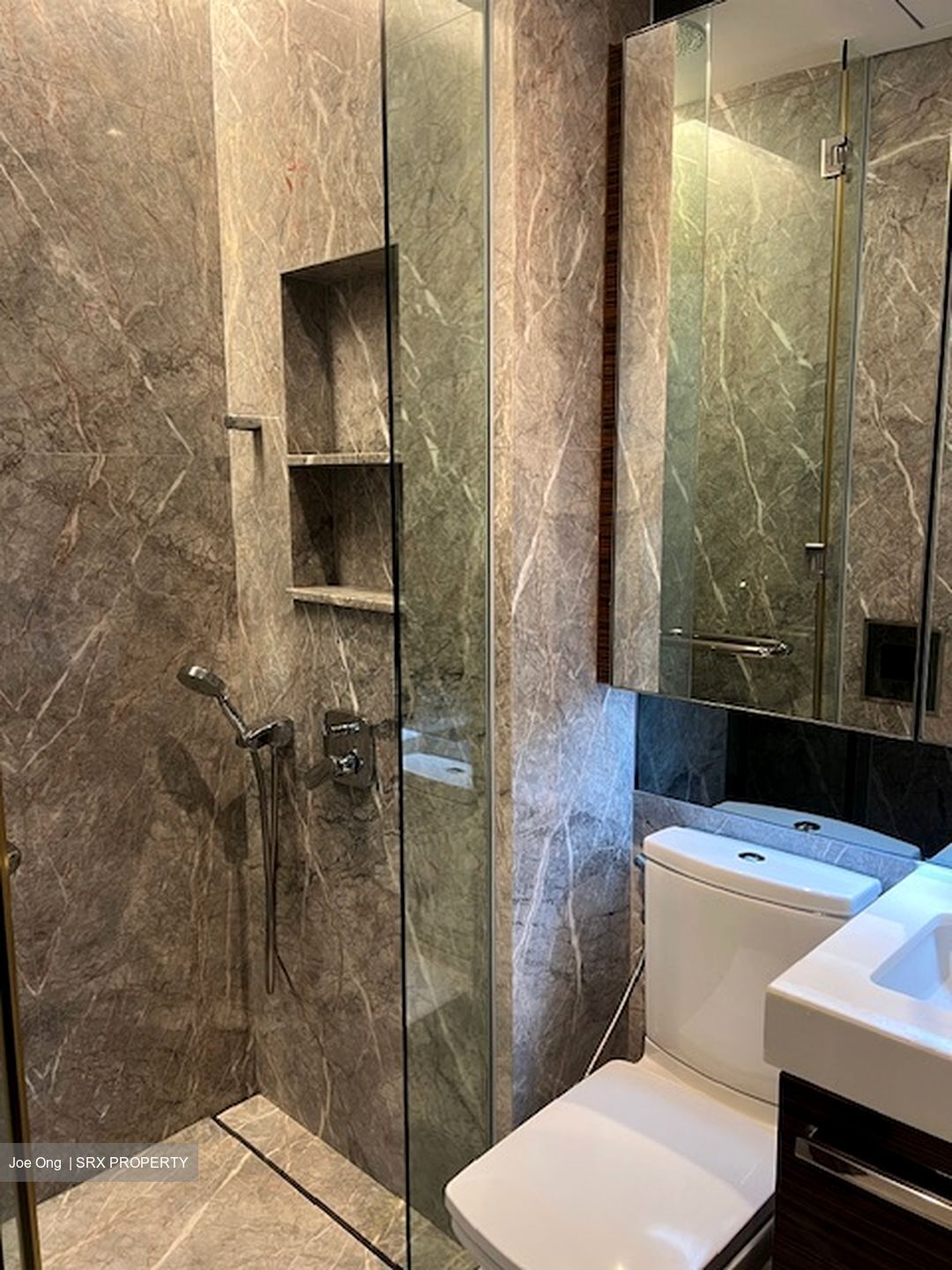 The Orchard Residences (D9), Apartment #540619161